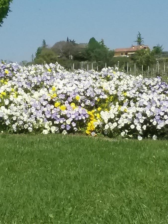 Appartamento Filippo Castelnuovo del Garda Exteriér fotografie